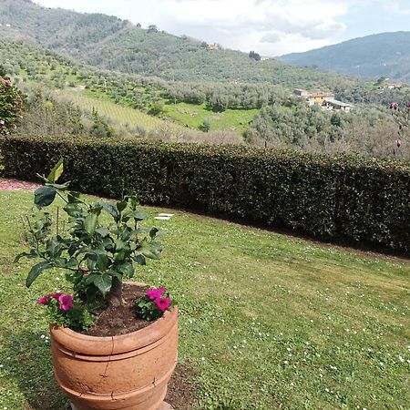 Villa Camelia Tuscany Pescia Exterior photo
